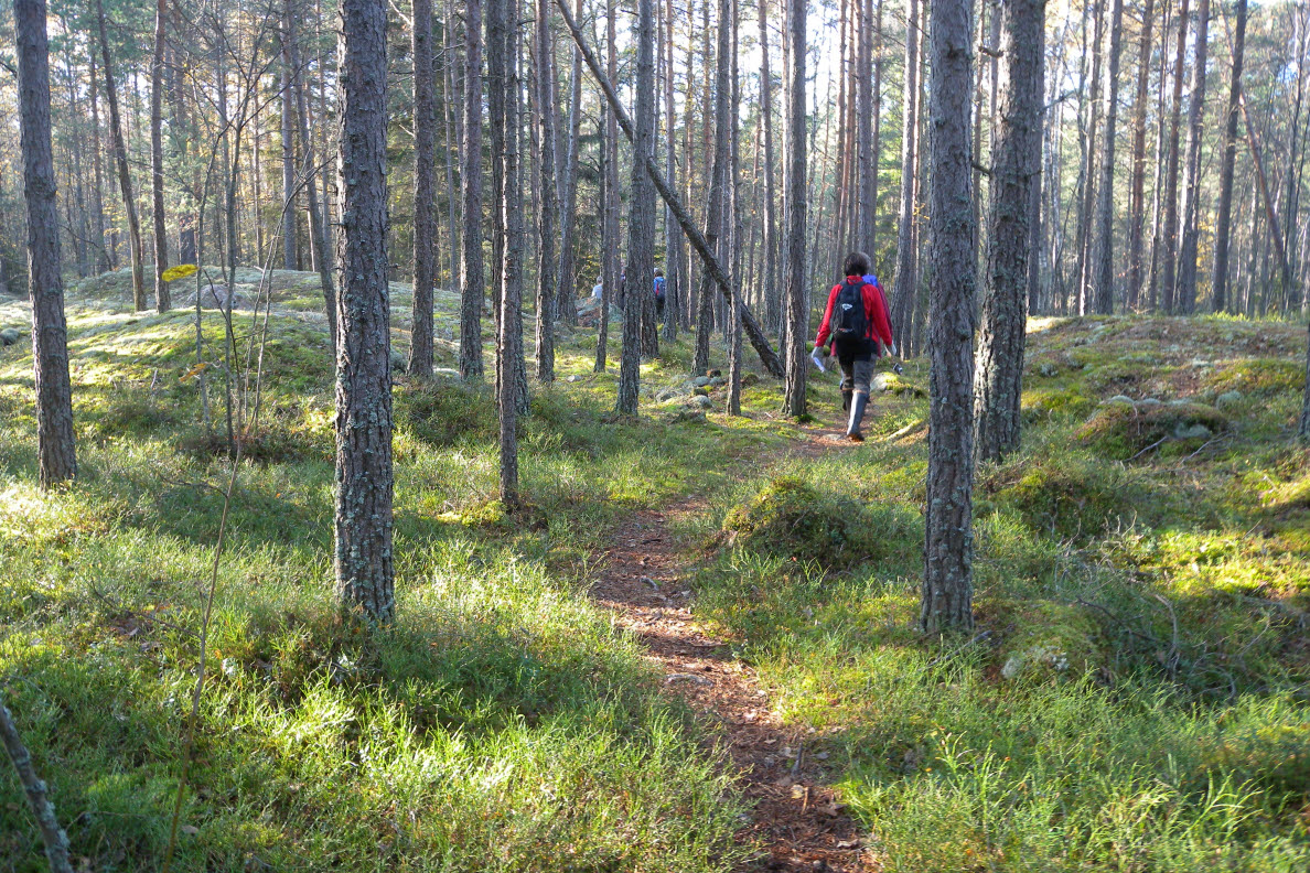 Fotografi på person som promenerar i Törnskogen