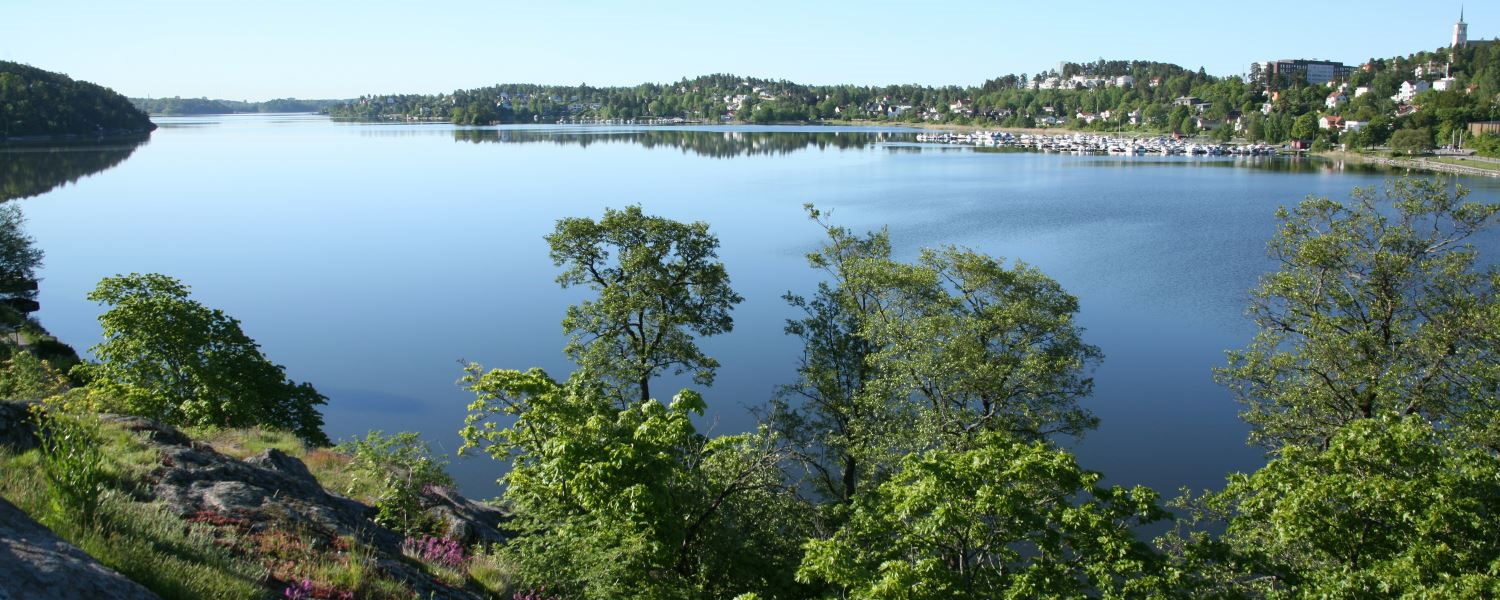 Utsikt över Edsviken